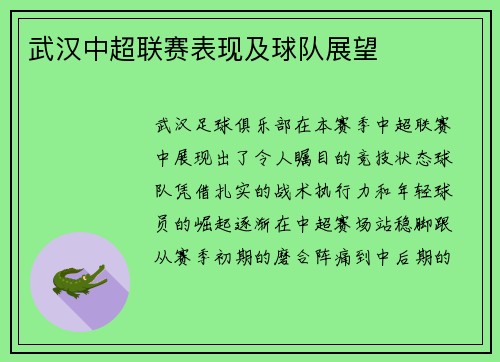 武汉中超联赛表现及球队展望
